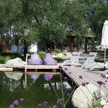 Agritur Fiore D'Ulivo Ρίβα ντελ Γκάρντα Εξωτερικό φωτογραφία