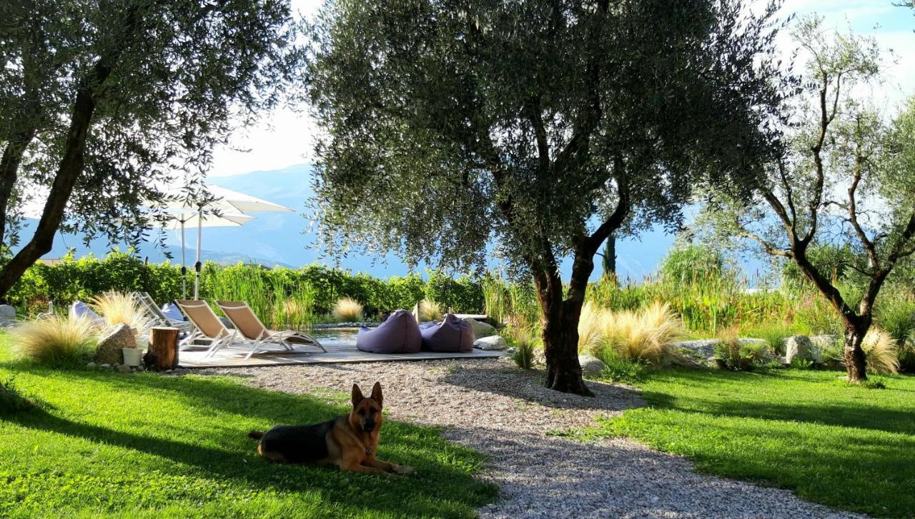 Agritur Fiore D'Ulivo Ρίβα ντελ Γκάρντα Εξωτερικό φωτογραφία