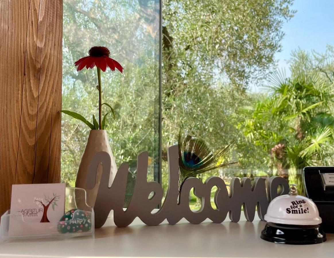 Agritur Fiore D'Ulivo Ρίβα ντελ Γκάρντα Εξωτερικό φωτογραφία
