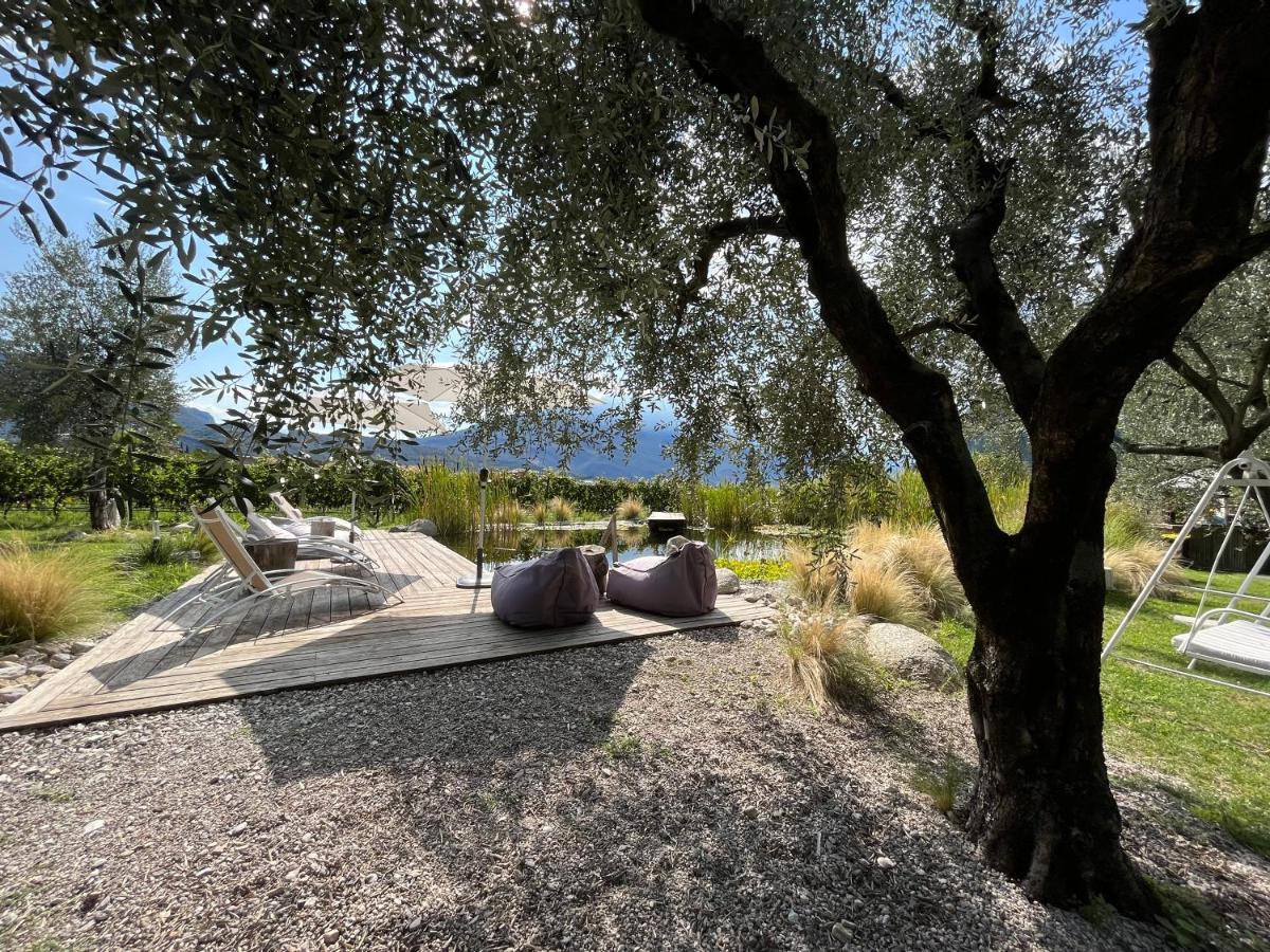 Agritur Fiore D'Ulivo Ρίβα ντελ Γκάρντα Εξωτερικό φωτογραφία