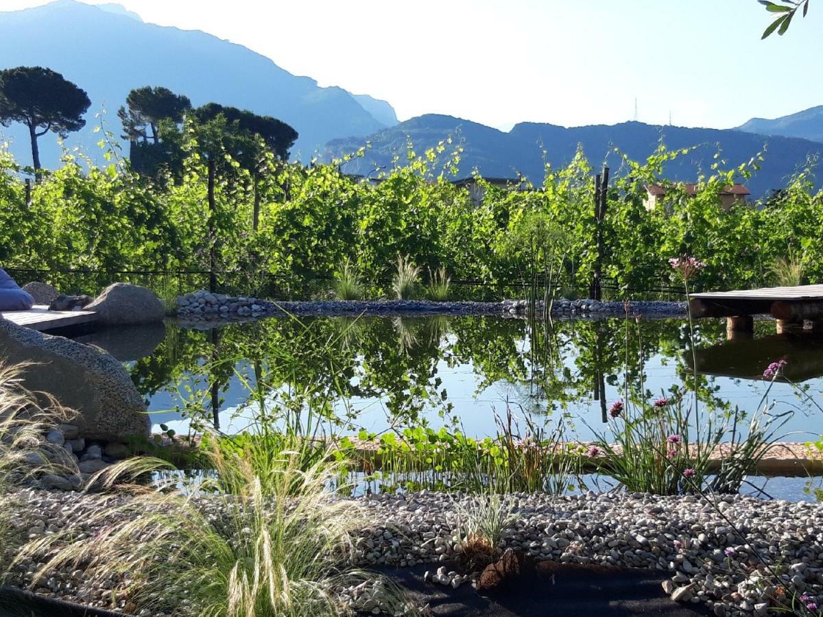 Agritur Fiore D'Ulivo Ρίβα ντελ Γκάρντα Εξωτερικό φωτογραφία