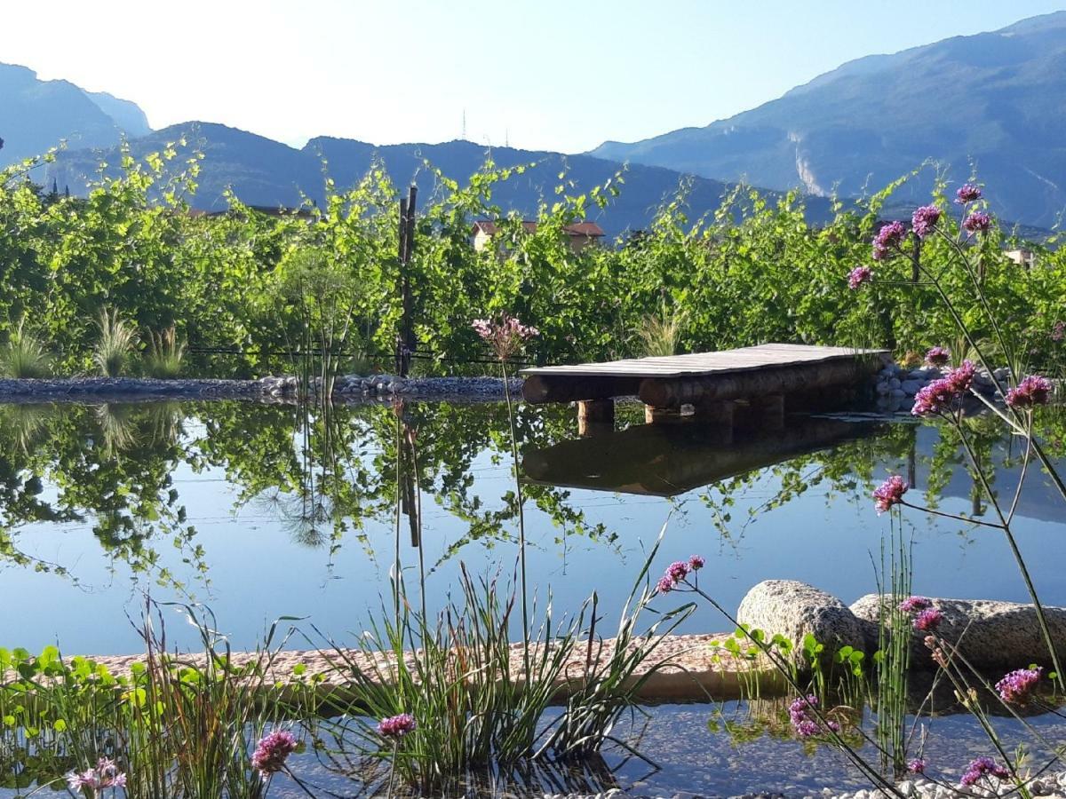 Agritur Fiore D'Ulivo Ρίβα ντελ Γκάρντα Εξωτερικό φωτογραφία